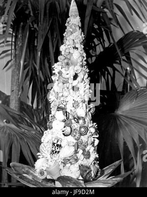 A creative and unique Christmas tree made entirely of shells, displayed during the Christmas season of 1964 in Florida. Stock Photo