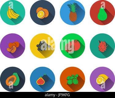Fruits icons set. Flat illustration of 25 fruits vector icons for web ...