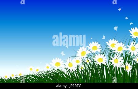 Chamomiles on summer background Stock Vector