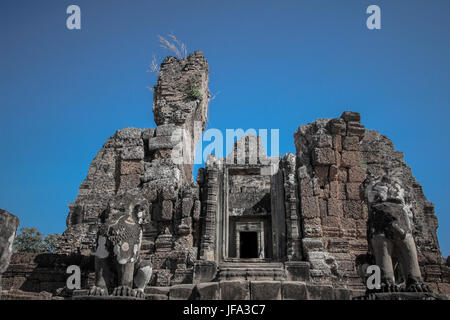 Ruins in ankor wat, cambodia Stock Photo