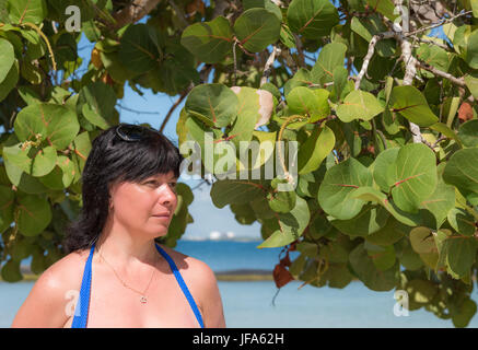 Brunette middle-aged Stock Photo