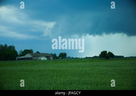 Mazovia, Poland. 30th June, 2017.  Storm unrooted trees in Mazovia, causing breaks on electricity and telecomunication. Heavy rain and thunderstorm continue to cross landscape. Credit: Jake Ratz/Alamy Live News Stock Photo