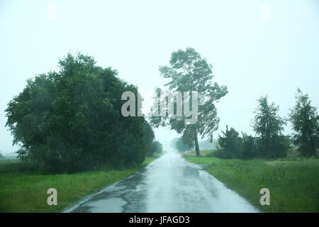 Mazovia, Poland. 30th June, 2017.  Storm unrooted trees in Mazovia, causing breaks on electricity and telecomunication. Heavy rain and thunderstorm continue to cross landscape. Credit: Jake Ratz/Alamy Live News Stock Photo