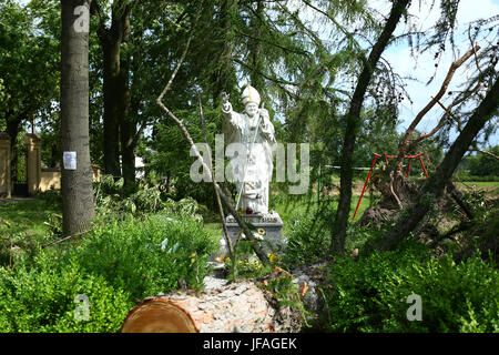 Mazovia, Poland. 30th June, 2017.  Storm unrooted trees in Mazovia, causing breaks on electricity and telecomunication. Heavy rain and thunderstorm continue to cross landscape. Credit: Jake Ratz/Alamy Live News Stock Photo