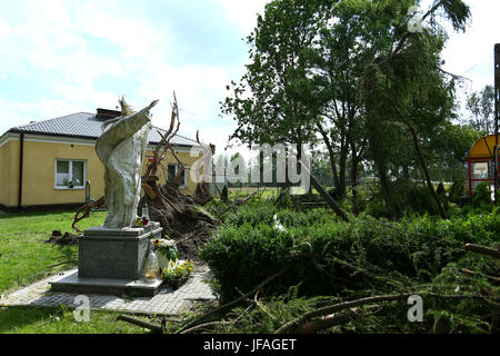 Mazovia, Poland. 30th June, 2017.  Storm unrooted trees in Mazovia, causing breaks on electricity and telecomunication. Heavy rain and thunderstorm continue to cross landscape. Credit: Jake Ratz/Alamy Live News Stock Photo