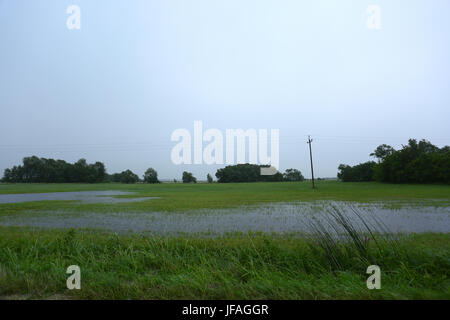 Mazovia, Poland. 30th June, 2017.  Storm unrooted trees in Mazovia, causing breaks on electricity and telecomunication. Heavy rain and thunderstorm continue to cross landscape. Credit: Jake Ratz/Alamy Live News Stock Photo