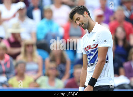 Eastbourne, UK 30th June, 2017 Novak Djokovic of Serbia reacts during his match against Daniil Medvedev of Russia in the semi final during day Six of the Aegon International Eastbourne on June 30, 2017 in Eastbourne, England Credit: Paul Terry Photo/Alamy Live News Credit: Paul Terry Photo/Alamy Live News Stock Photo