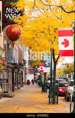 Looking down a sidewalk along King Street during autumn in downtown Brockville, Ontario, Canada.