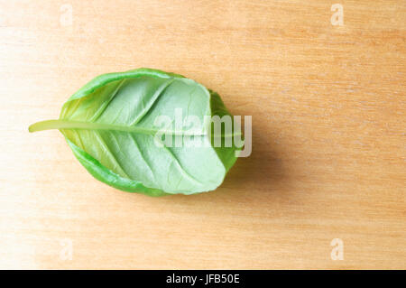 Close up of a single basil leaf shot from overhead on an old, worn, light wood table, which provides copy space to the right side. Stock Photo