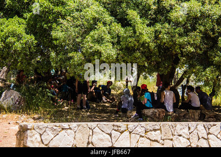 Mount Carmel, Haifa, Israel Stock Photo