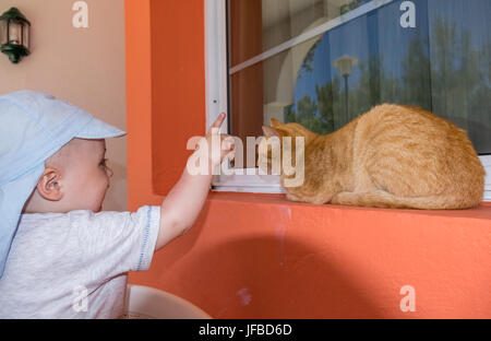 Boy close encounters with a cat Stock Photo
