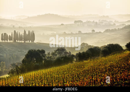 Chianti vineyards, Tuscany, Italy Stock Photo