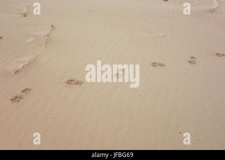 track on sand Stock Photo