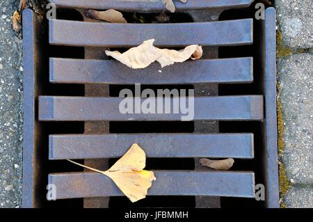 Autumn in the street drainage Stock Photo