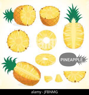 Set of pineapple fruit in various styles vector format Stock Vector