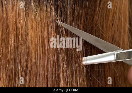 Close up view of hairdresser scissors cutting long female hair. Keratin restoration, healthy hair, latest hair fashion trends, changing haircut style, Stock Photo