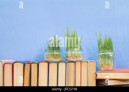 Germinated wheat in glass jar on books Stock Photo