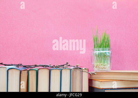 Germinated wheat in glass jar on books Stock Photo