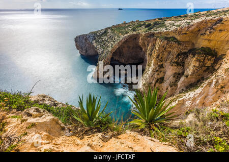 Malta - The famous arch of Blue Grotto cliffs with green leaves Stock Photo