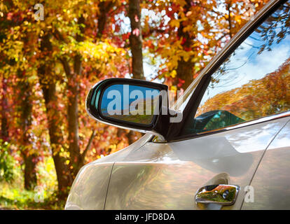 Autumn leaves from wing mirror on car Stock Photo