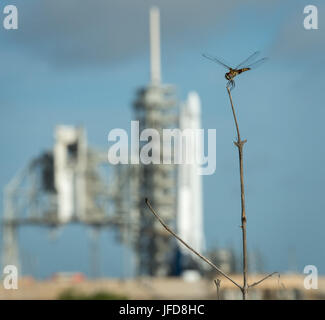 A dragonfly is seen near the SpaceX Falcon 9 rocket, with the Dragon spacecraft onboard, at Launch Complex 39A at NASA’s Kennedy Space Center in Cape Canaveral, Florida, Thursday, June 1, 2017. Dragon is carrying almost 6,000 pounds of science research, crew supplies and hardware to the International Space Station in support of the Expedition 52 and 53 crew members. The unpressurized trunk of the spacecraft also will transport solar panels, tools for Earth-observation and equipment to study neutron stars. This will be the 100th launch, and sixth SpaceX launch, from this pad. Previous launches 