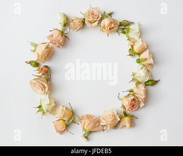 Assorted roses heads. Stock Photo