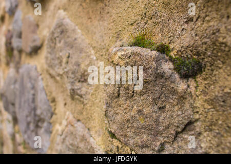 Close up of a traditional stone brick wall showing non-uniformed shaped blocks Stock Photo