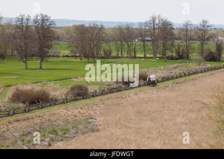 Walla Walla County, Washington: View from monument hill at Whitman Mission National Historic Site. The mill pond and apple orchard border the Mission  Stock Photo