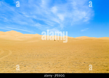 Tracks in the Sand Stock Photo