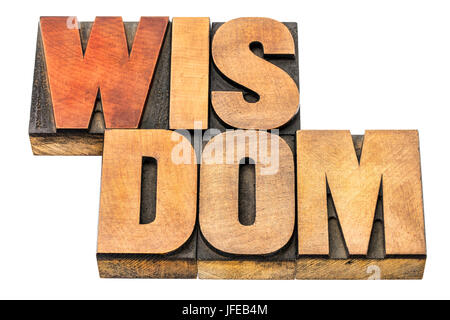 wisdom  - word abstract in letterpress wood type blocks isolated on white Stock Photo