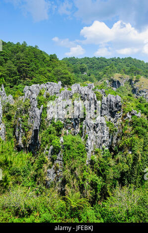 Sugong Coffins in the rock cliffs, Sagada, Luzon, Philippines Stock Photo