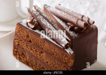 Truffle cake with chocolate decor and powdered sugar on a plate close up. horizontal Stock Photo