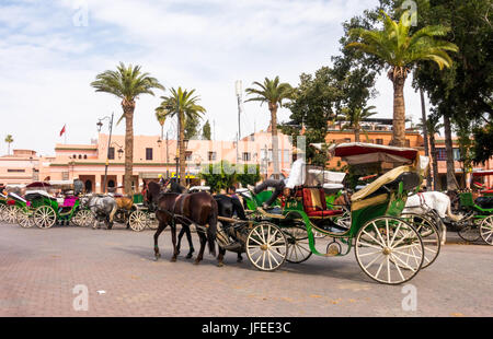 Marrakech, Morocco - May 04, 2017: A coachman is relaxing on his horse-drawn carriage on the Jemaa el-Fnaa square in Marrakech while waiting for touri Stock Photo