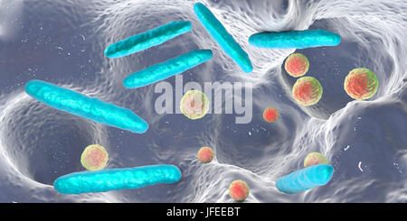 Bacteria inside dental cavity. Computer illustration showing spherical and rod-shaped bacteria inside a dental cavity. Stock Photo