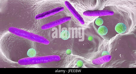 Bacteria inside dental cavity. Computer illustration showing spherical and rod-shaped bacteria inside a dental cavity. Stock Photo