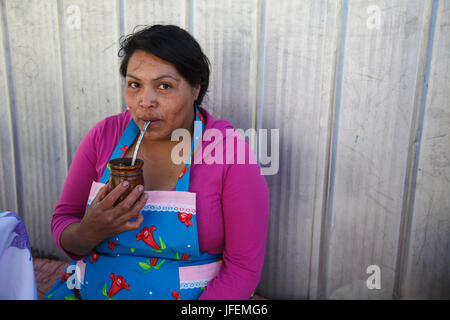 Chile, Araucania, Alto bio bio, Mapuche, woman, Brazil tea drink, Stock Photo