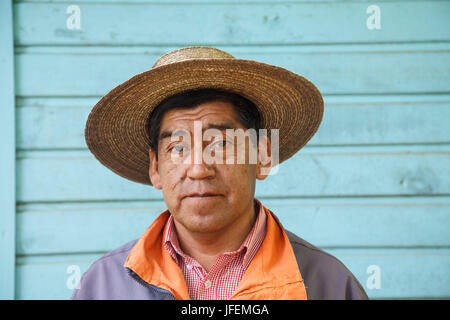 Chile, Araucania, Alto bio bio, Mapuche, man, scholar, Stock Photo