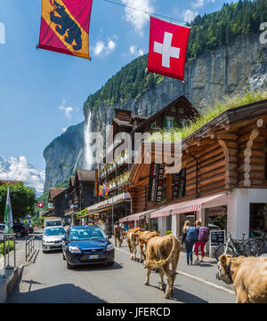 Switzerland, Lauterbrunnen City, Jungfrau Mountain Stock Photo