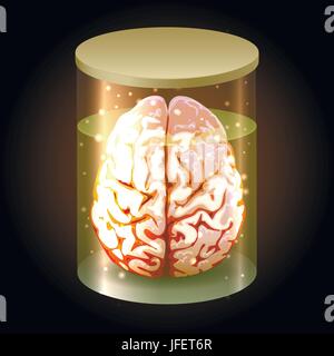 Human brain in a glass jar. Vector illustration. Stock Vector
