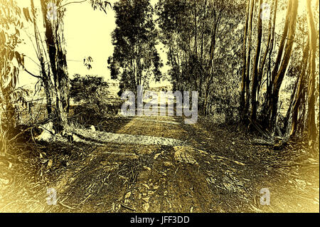 Country Dirt Road Stock Photo
