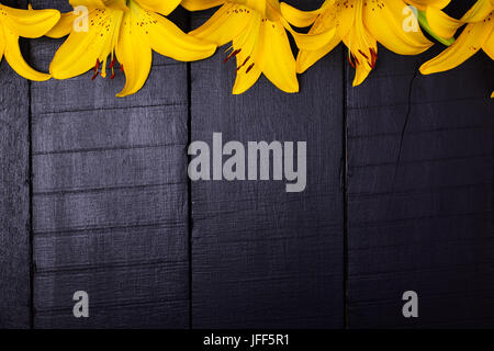 Flowering buds of a yellow lily on a black wooden background, a blank space in the middle Stock Photo