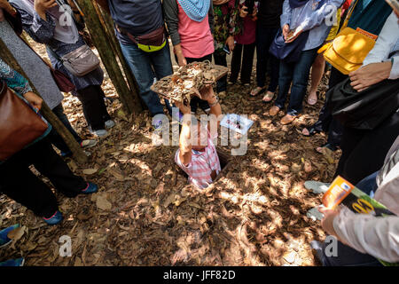 Tourist at the entrance to the Ben Duoc tunnel system used by vietcong combatants during the Vietnam war in Cu Chi, near Ho Chi Minh City, Vietnam Stock Photo