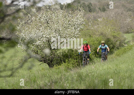 Mountain Biker biking through green grass Stock Photo