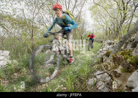 Bikers biking through narrow path in forest Stock Photo