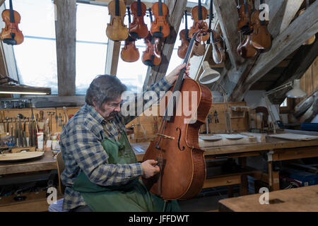 Craftsman fixing violin at workshop Stock Photo