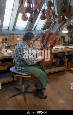 worker fixing violin at workshop Stock Photo