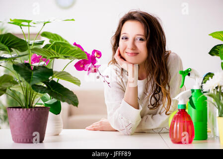 Young woman looking after plants at home Stock Photo