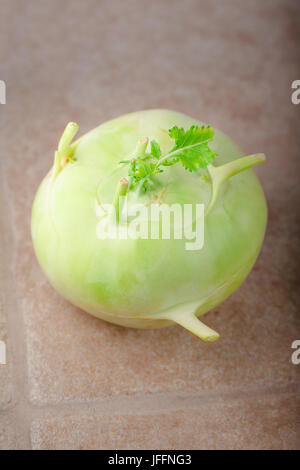 Studio shot of fresh kohlrabi Stock Photo - Alamy