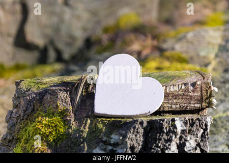 Heart on tree stump Stock Photo