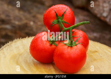 Fresh red ripe organik tomatoes with water drops on branches, dark linen napkin. Close-up. Selective focus. Top view. Concept of vegetarian, healthy f Stock Photo